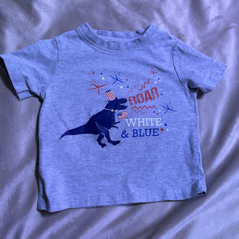 Gray Dinosaur Graphic Kids T-Shirt
